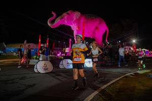 BIB: 
                            <button type="button" onclick="openModal(26552050)" class="btn btn-primary btn-sm float-right btn-popup" data-toggle="modal" data-target=".modal-high-quality">
                        <i class="fas fa-shopping-cart"></i> Add to Cart
                    </button>
                                            <button type="button" onclick="isThisMe(26552050, true)" class="btn btn-success btn-sm float-right btn-popup btn-isme hidden" data-toggle="tooltip" data-placement="bottom" title="นี่คือรูปของคุณใช่ไหม คลิกที่นี่เพื่อเอาเข้าอัลบั้ม">
                        <i class="fas fa-plus"></i> Add to album
                    </button>
                    <button type="button" onclick="isThisMe(26552050, false)" class="btn btn-warning btn-sm float-right btn-popup btn-isnotme hidden">
                        <i class="fas fa-ban"></i> Remove from album
                    </button>